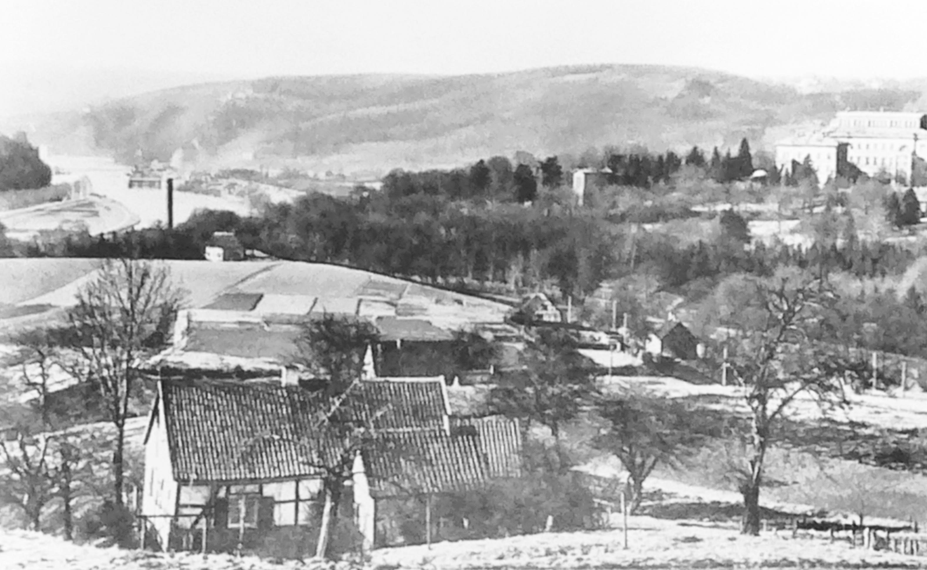 Baldeneyer Berg und – rechts hinten – die Villa Hügel in den 1920er-Jahren